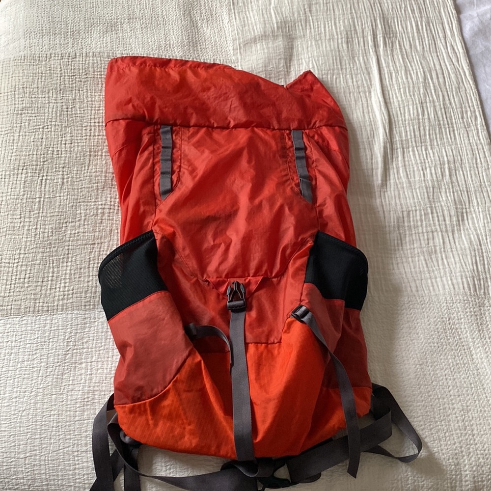 Patagonia lightweight backpack